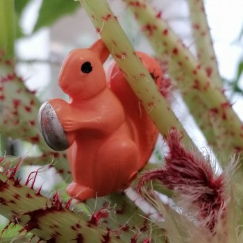 Лурения: Верхний сад - белочка, Стефан и Гюлиз