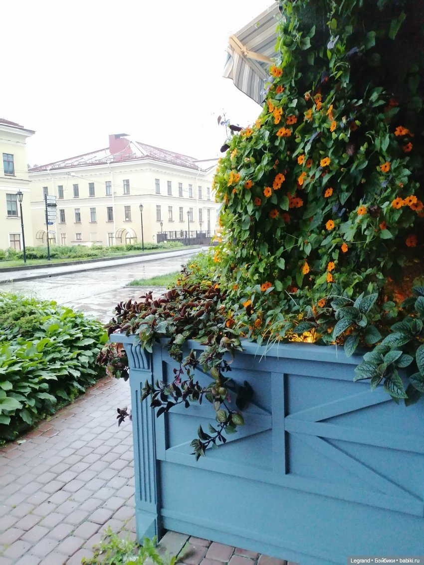 Они сами пишут свои истории: три сообщения, полученные Жераром (фото 3)