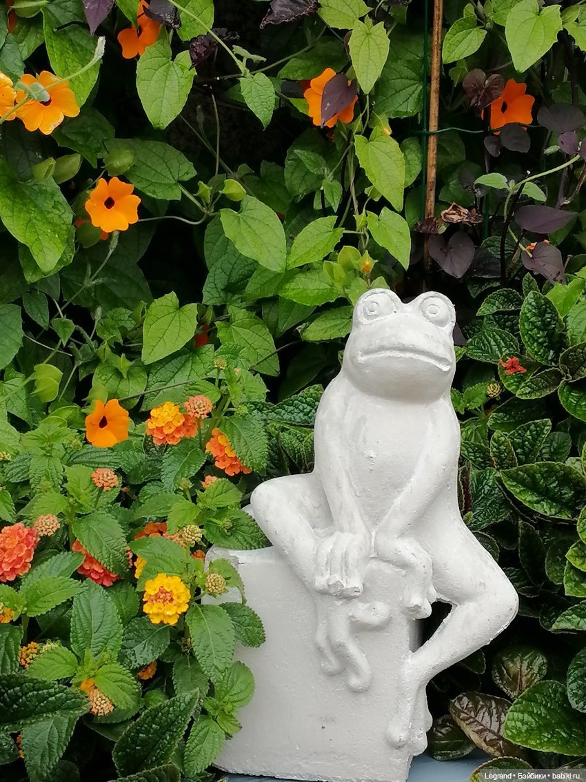 Они сами пишут свои истории: три сообщения, полученные Жераром (фото 5)