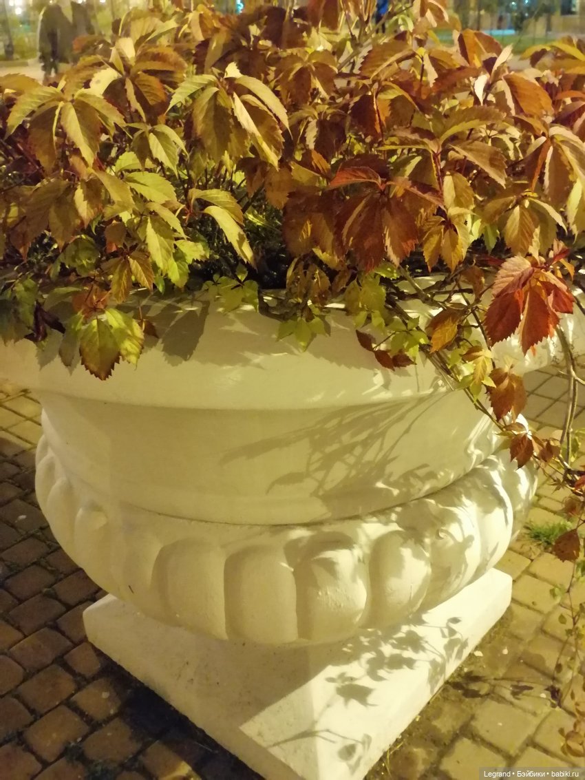 Санкт-Петербург: осень, вечерние фото