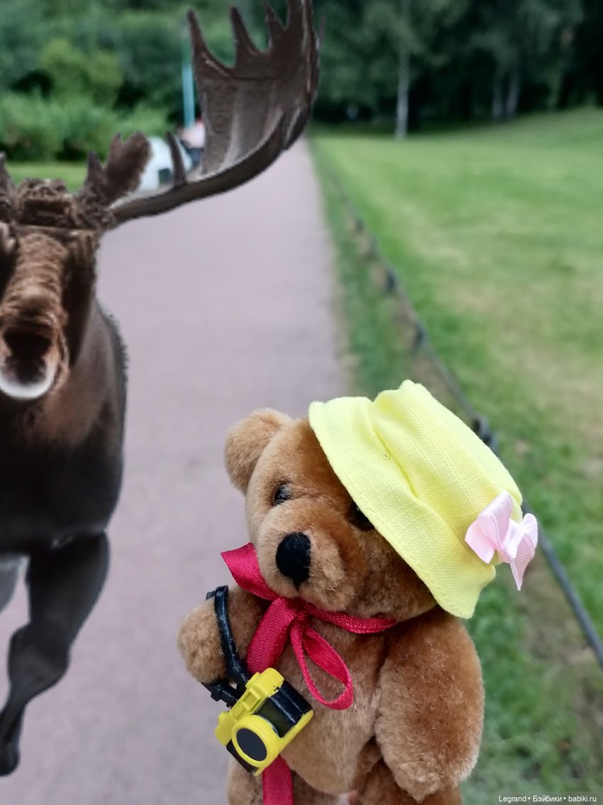 Лурения: минута юмора от Лестата😄 (фото 8)