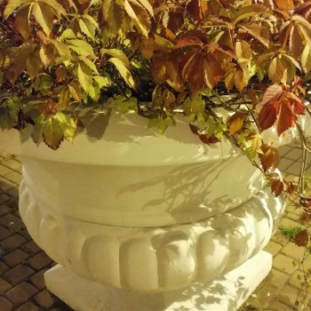 Санкт-Петербург: осень, вечерние фото