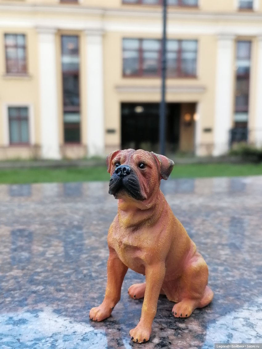 Лурения: минута юмора от Лестата😄