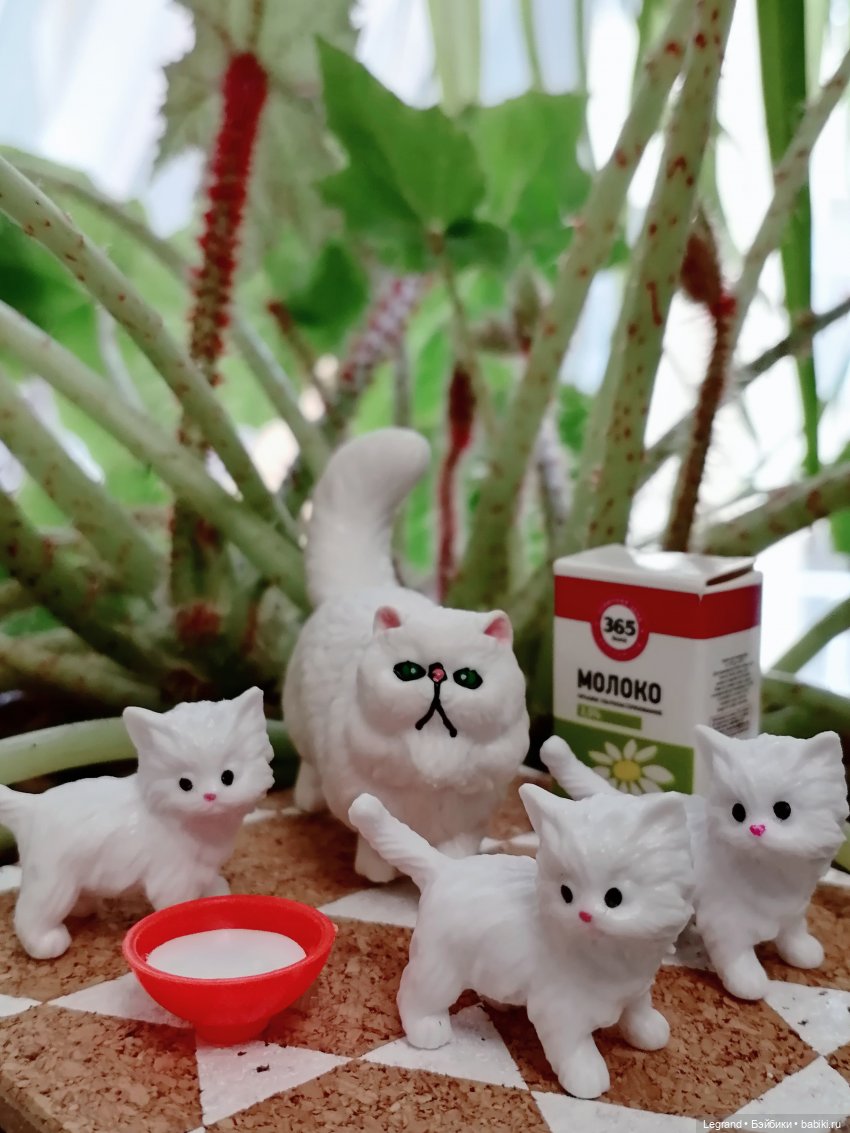 Лурения: минута юмора от Лестата😄