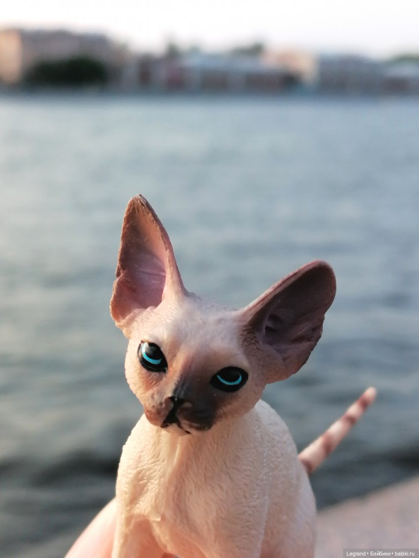 Лурения: минута юмора от Лестата😄