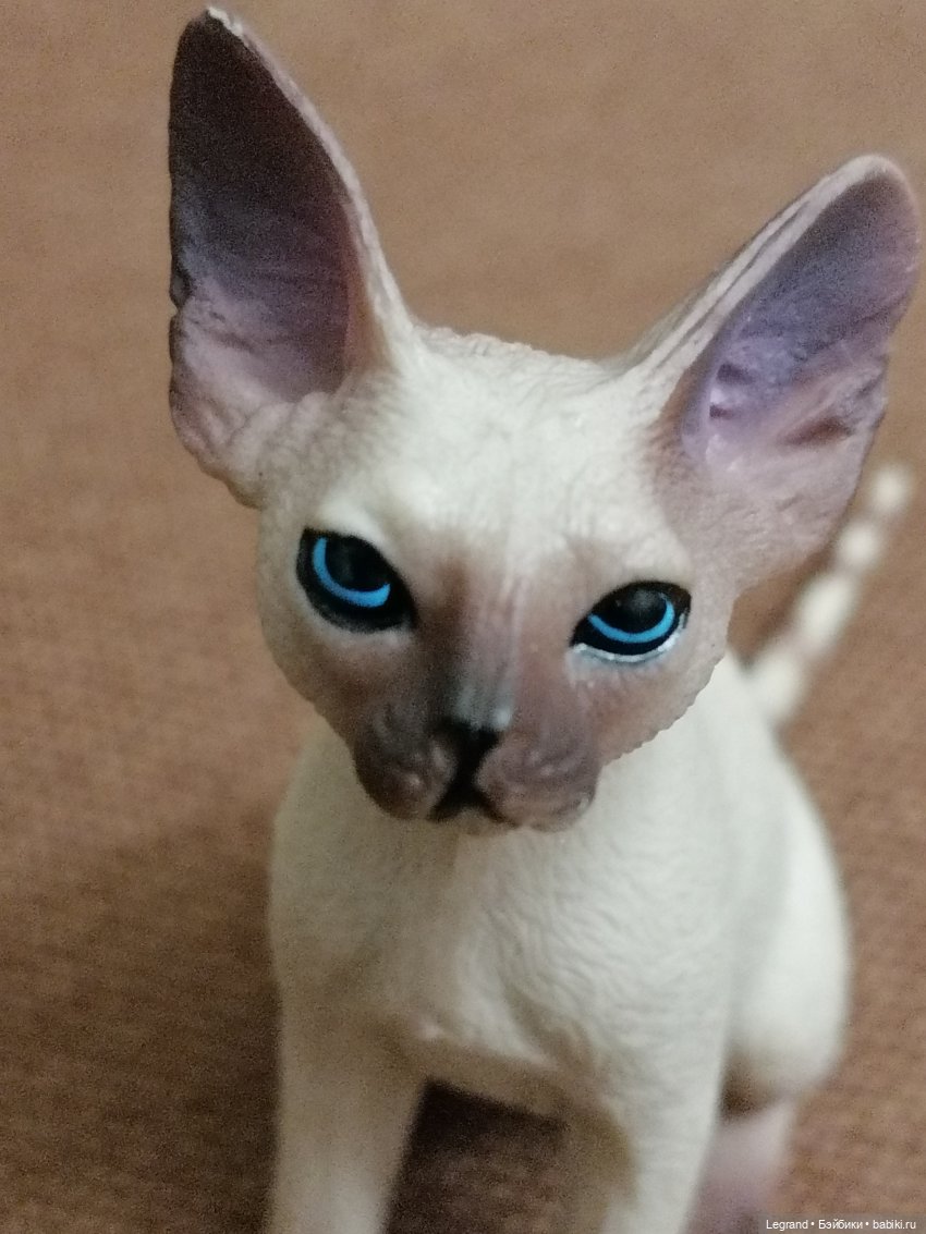 Лурения: минута юмора от Лестата😄