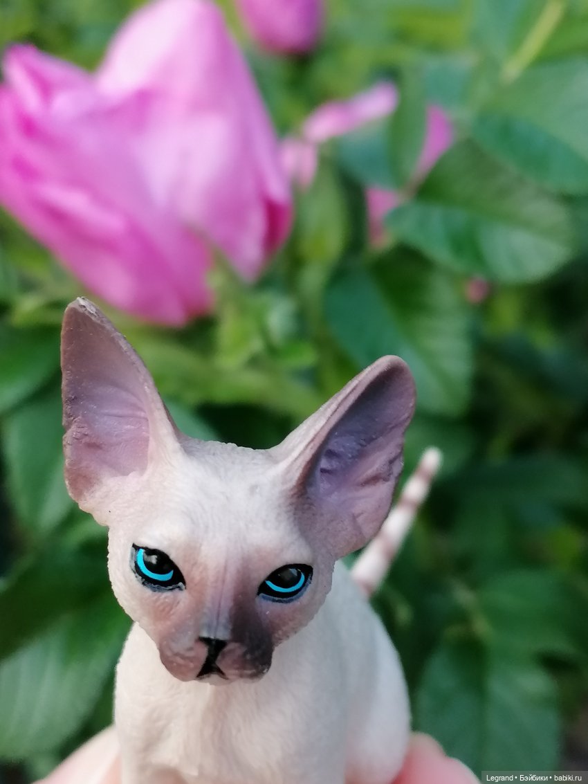 Лурения: минута юмора от Лестата - 2😄 (фото 4)