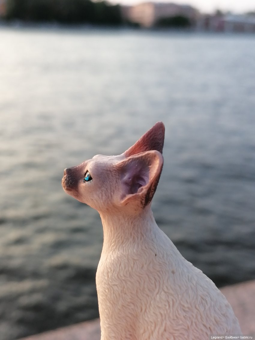 Лурения: минута юмора от Лестата - 2😄