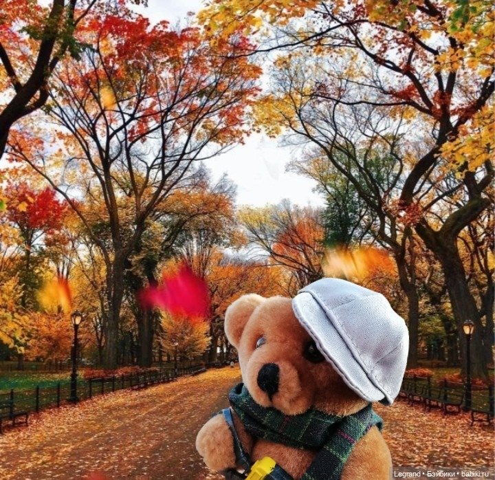 Лурения: минута юмора от Лестата - 2😄