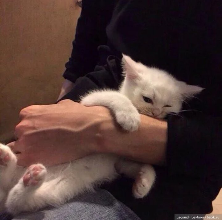 Лурения: минута юмора от Лестата - 2😄