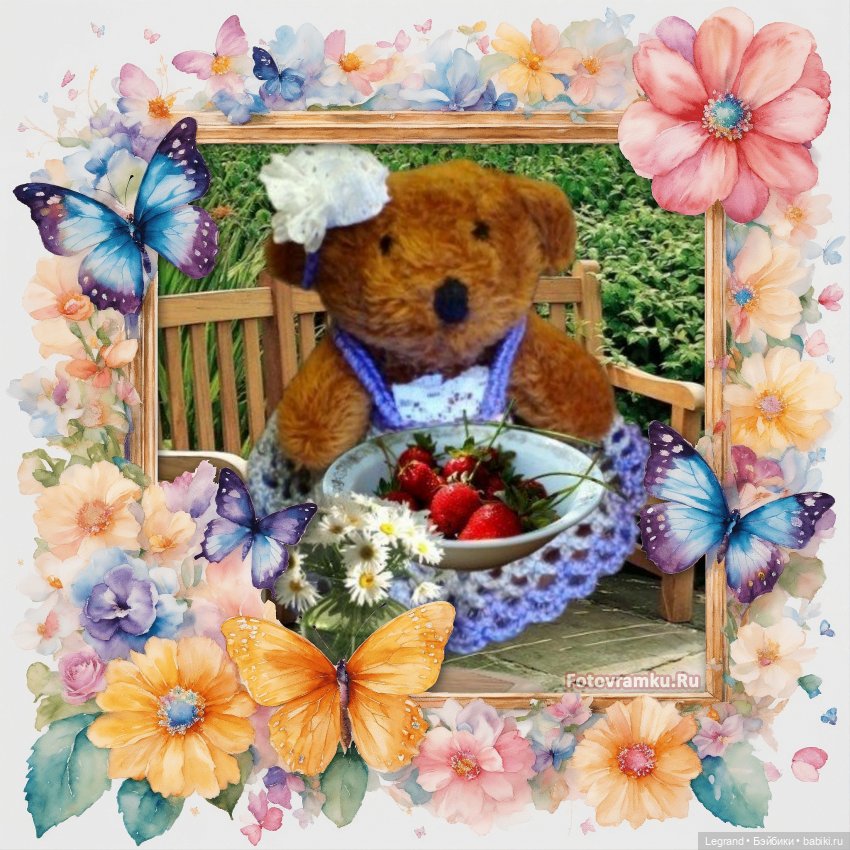 Из жизни моих мишек: Мишель, Гюлиз и негодующий Барин (фото 9)