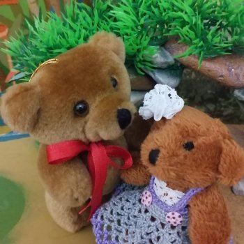 Из жизни моих мишек: Мишель, Гюлиз и негодующий Барин