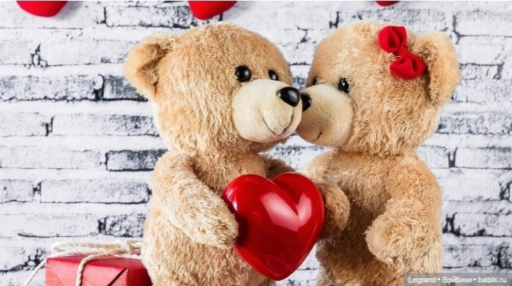 Из жизни моих мишек: Мишель, Гюлиз и негодующий Барин