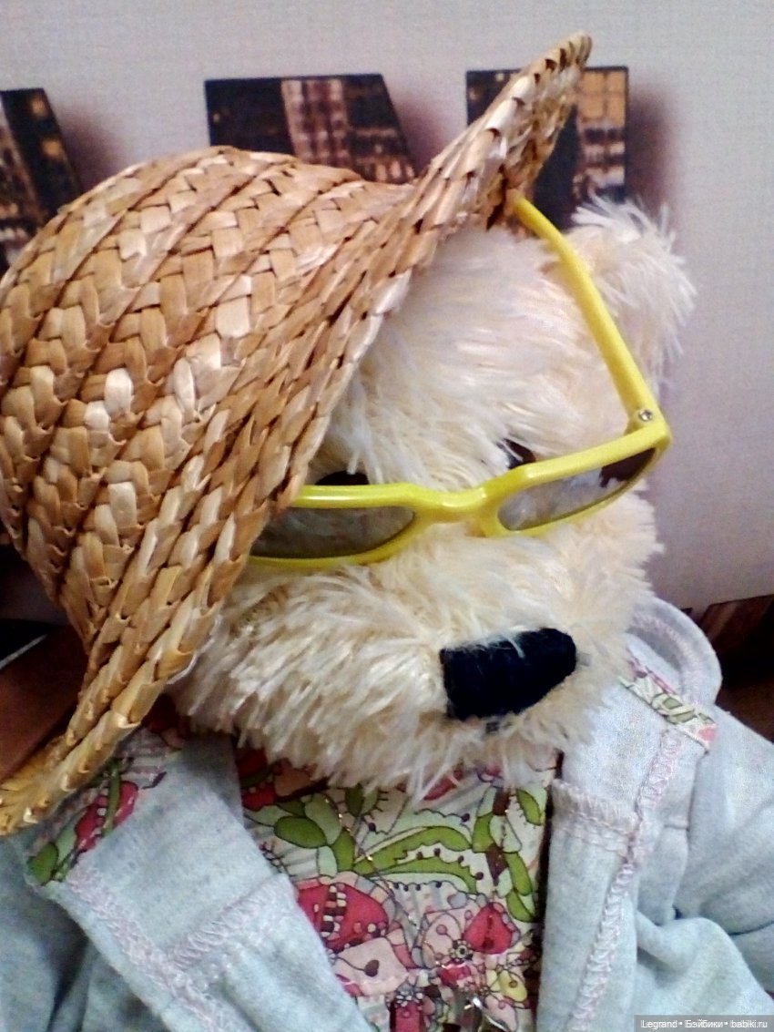 Из жизни моих мишек: Мишель, Гюлиз и негодующий Барин