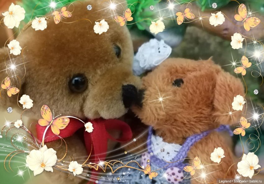 Из жизни моих мишек: Мишель, Гюлиз и негодующий Барин