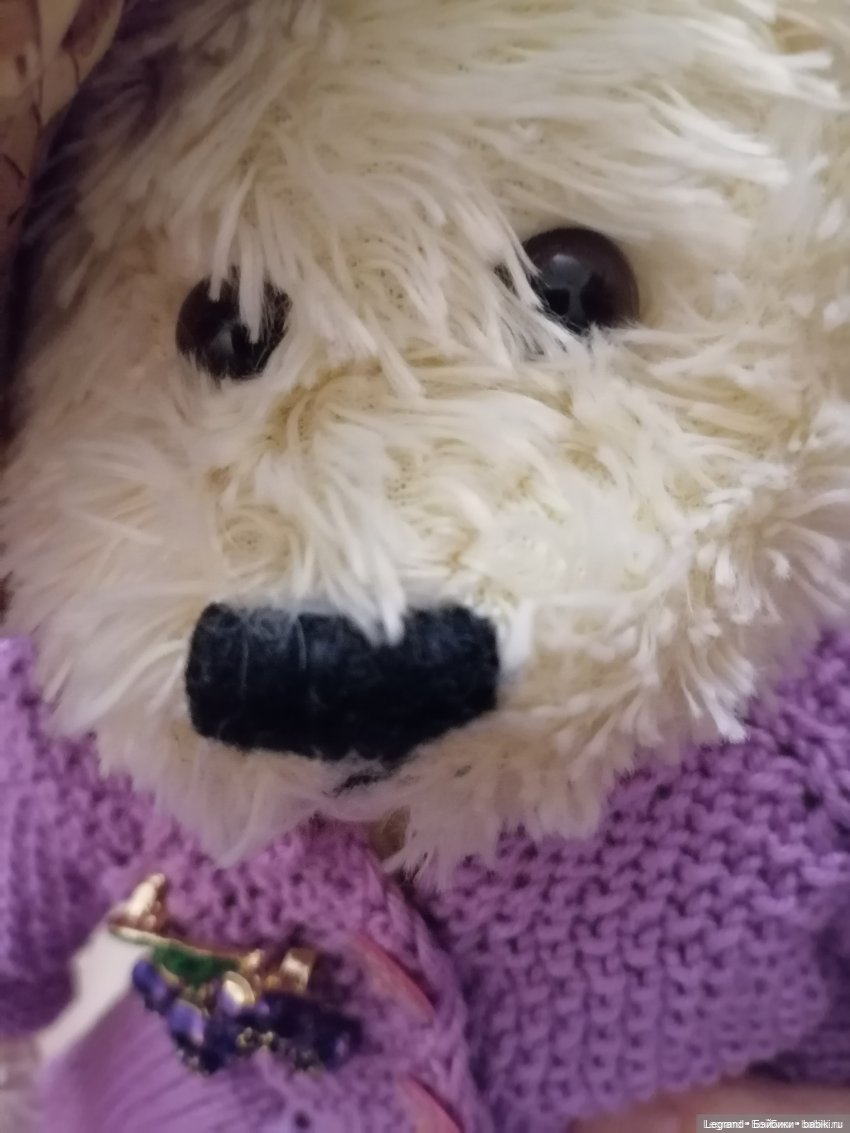 Из жизни моих мишек: Мишель, Гюлиз и негодующий Барин