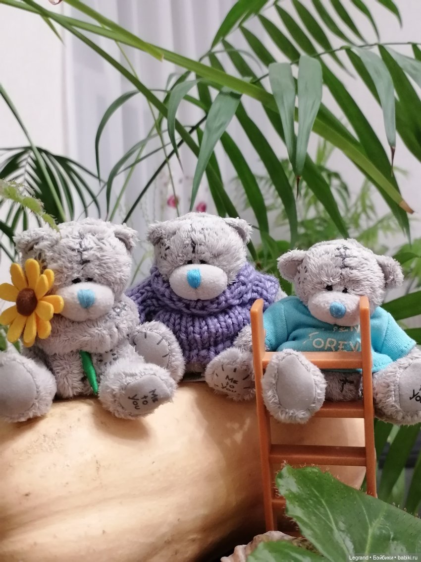 Из жизни моих мишек: тыква, зелень, медвежата🤗