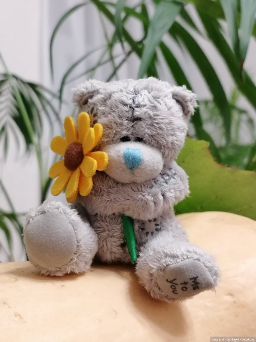 Из жизни моих мишек: тыква, зелень, медвежата🤗 (фото 6)