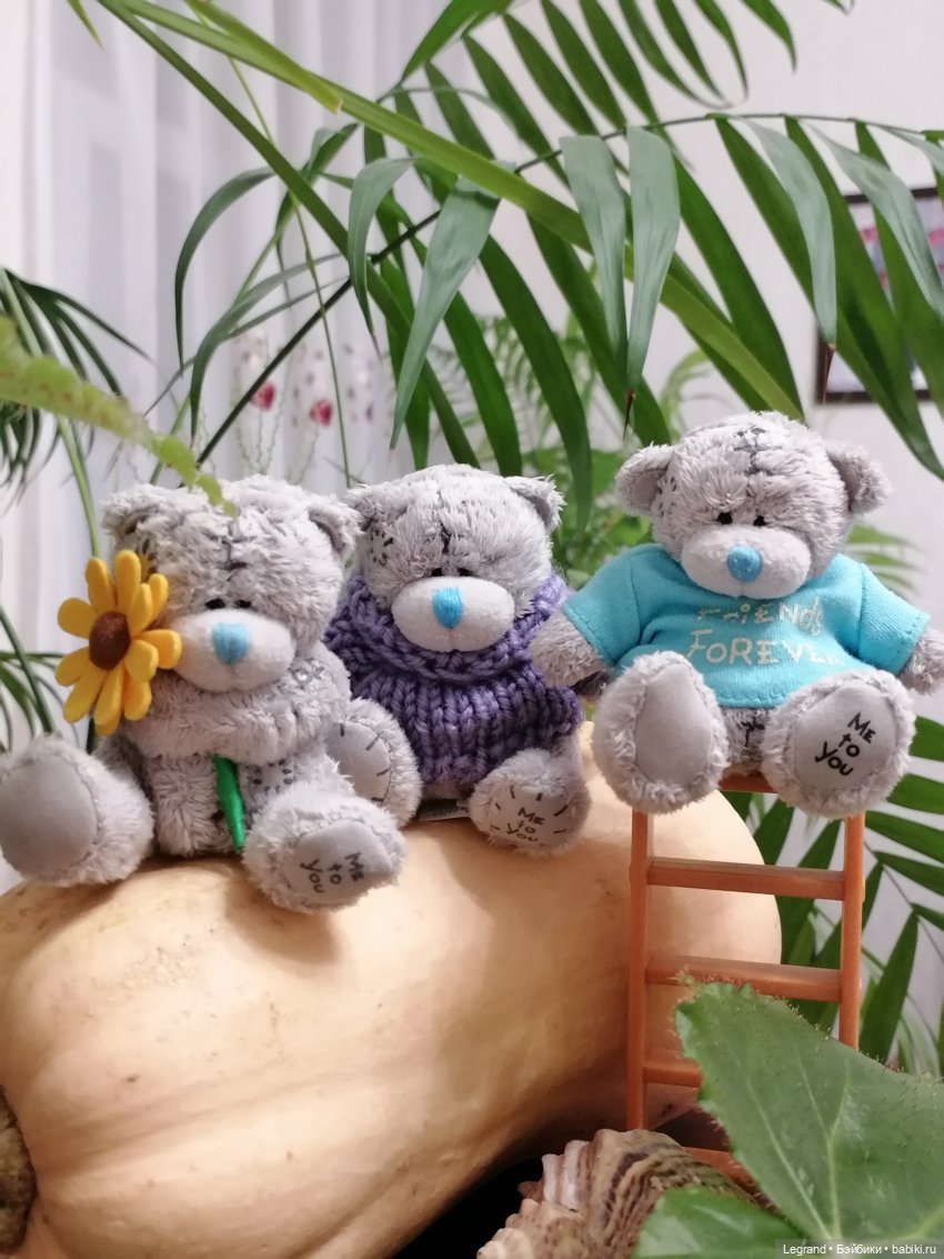 Из жизни моих мишек: тыква, зелень, медвежата🤗