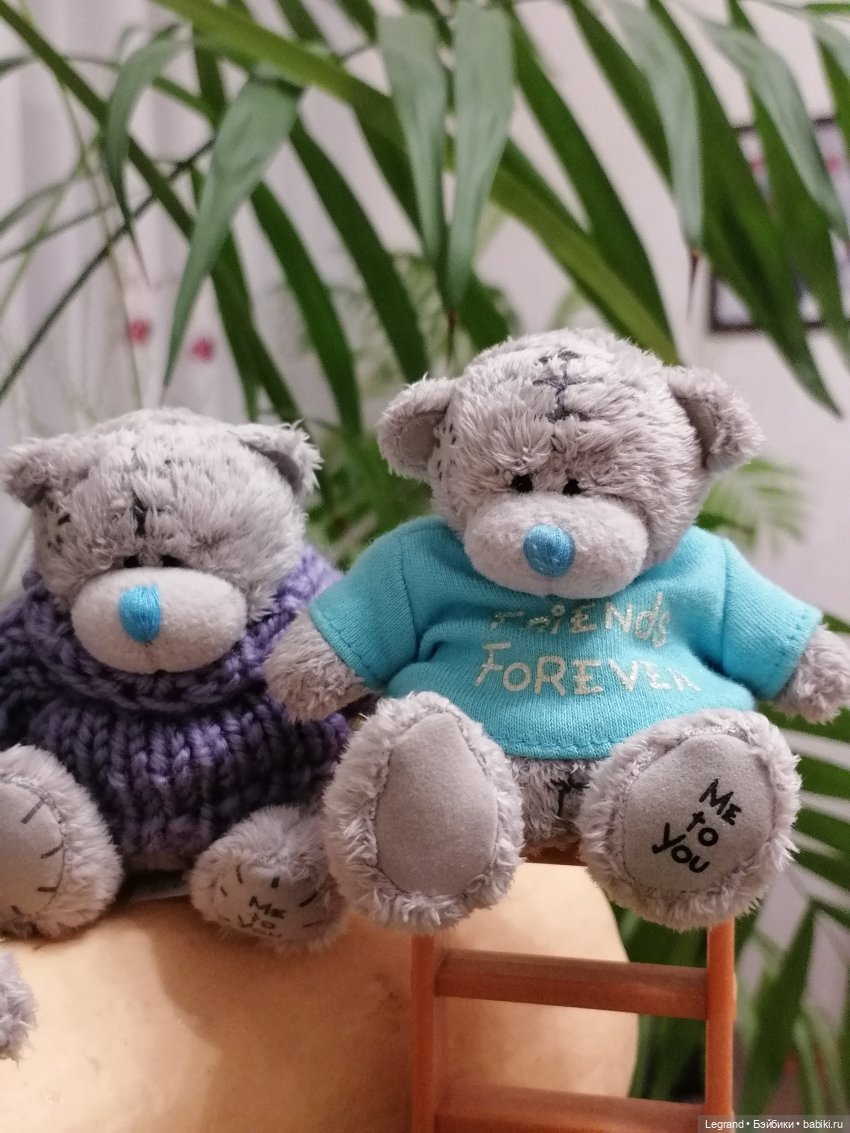 Из жизни моих мишек: тыква, зелень, медвежата🤗