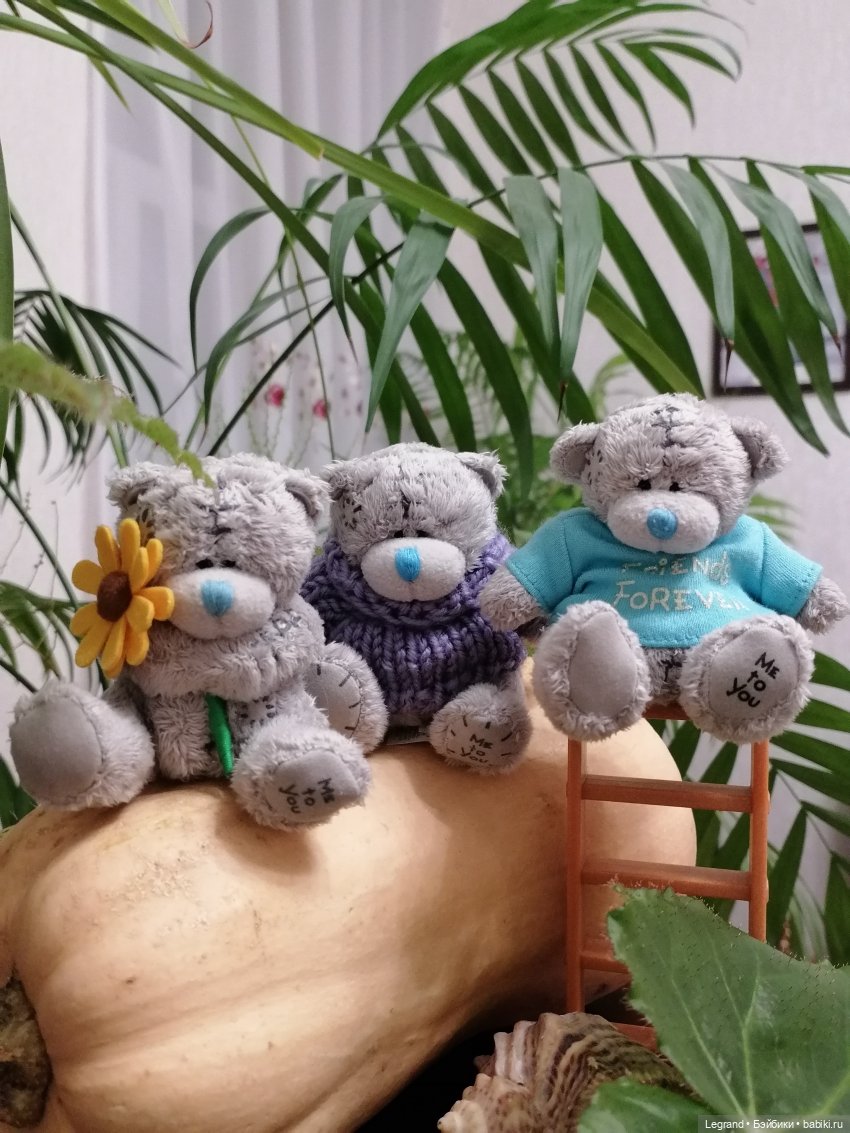 Из жизни моих мишек: тыква, зелень, медвежата🤗