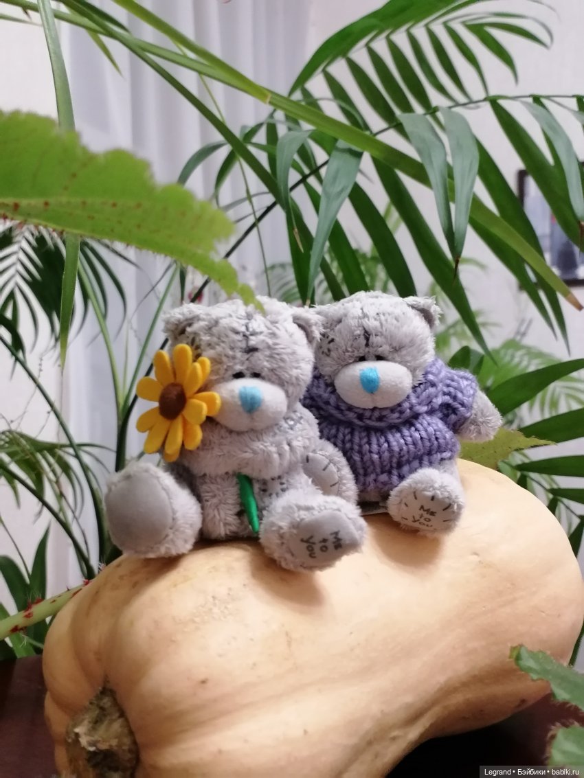 Из жизни моих мишек: тыква, зелень, медвежата🤗 (фото 10)
