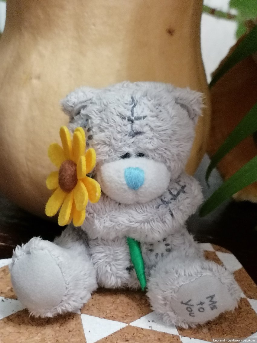 Из жизни моих мишек: тыква, зелень, медвежата🤗