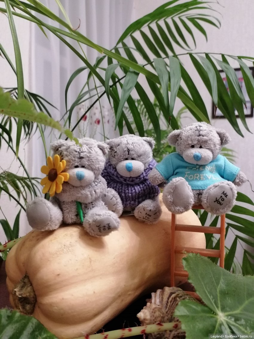Из жизни моих мишек: тыква, зелень, медвежата🤗