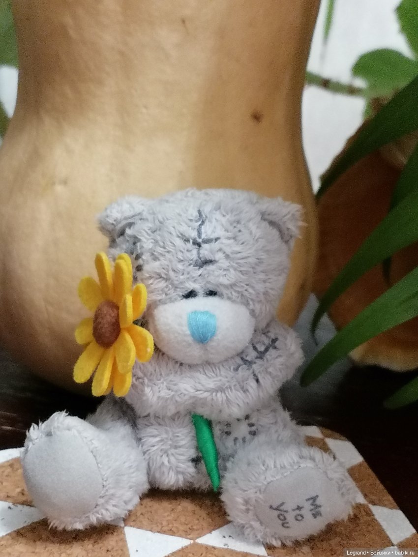 Из жизни моих мишек: тыква, зелень, медвежата🤗