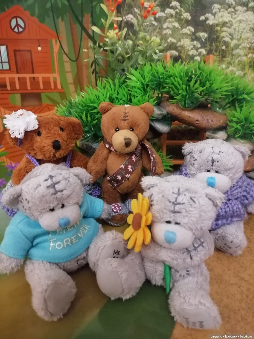 Из жизни моих мишек: тыква, зелень, медвежата🤗