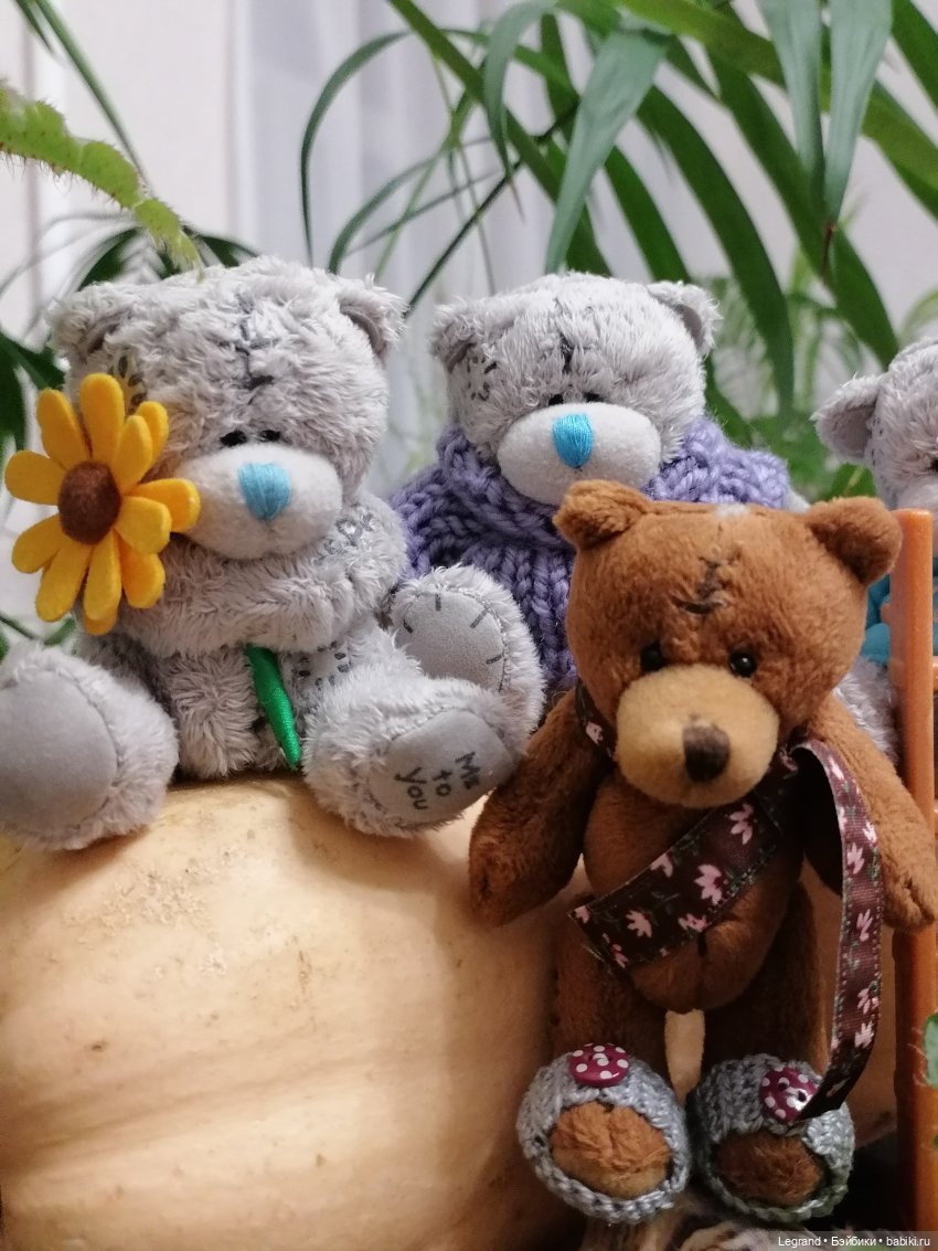 Из жизни моих мишек: тыква, зелень, медвежата🤗