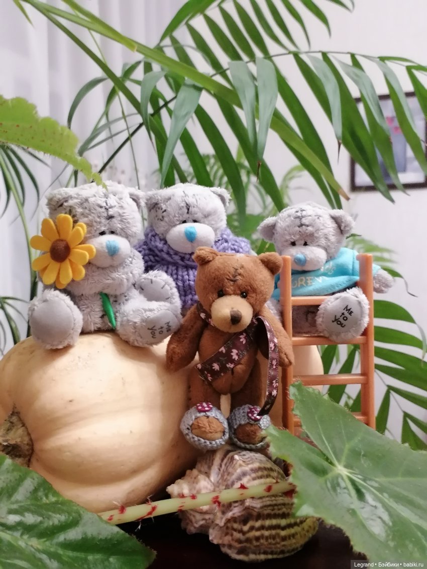 Из жизни моих мишек: тыква, зелень, медвежата🤗