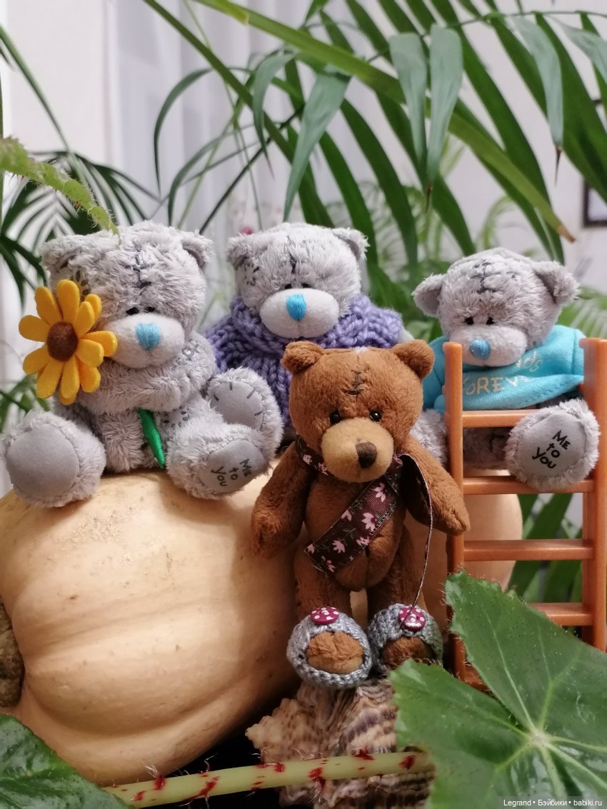 Из жизни моих мишек: тыква, зелень, медвежата🤗