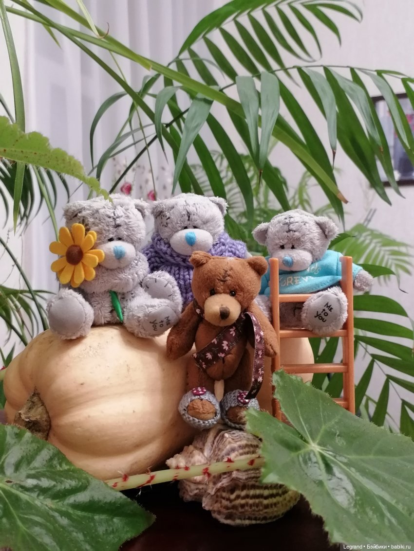 Из жизни моих мишек: тыква, зелень, медвежата🤗