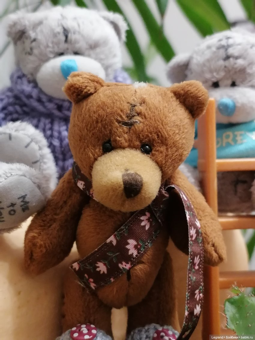 Из жизни моих мишек: тыква, зелень, медвежата🤗