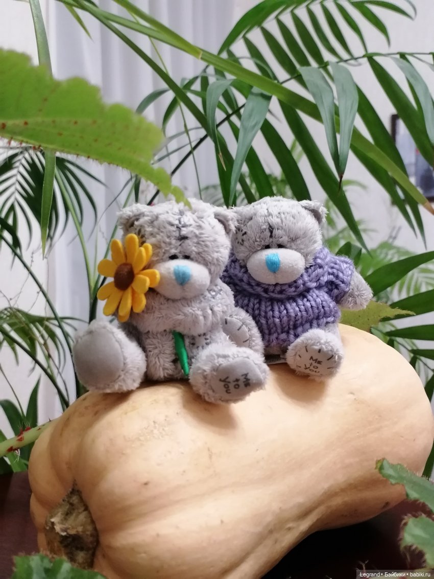 Из жизни моих мишек: тыква, зелень, медвежата🤗 (фото 9)