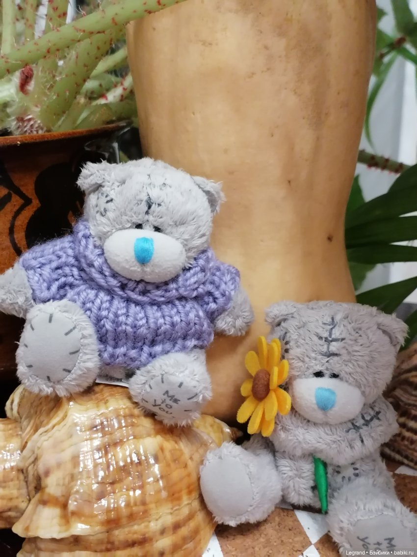 Из жизни моих мишек: тыква, зелень, медвежата🤗