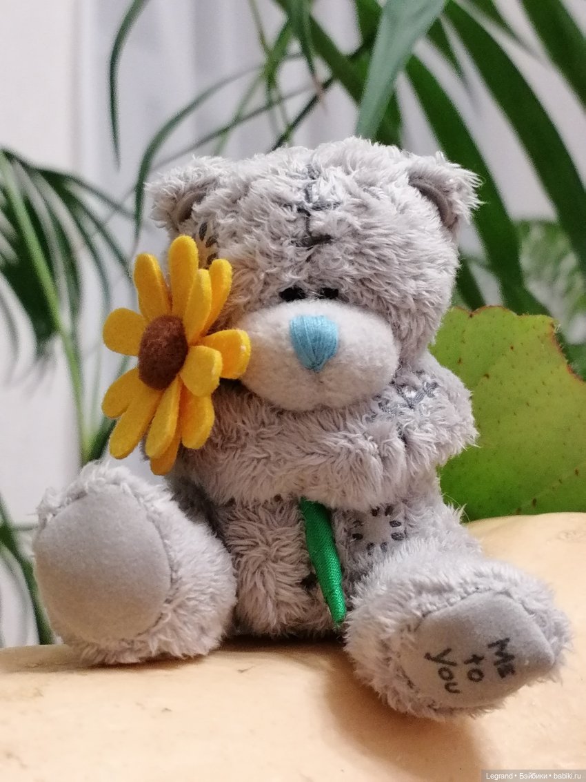 Из жизни моих мишек: тыква, зелень, медвежата🤗 (фото 5)