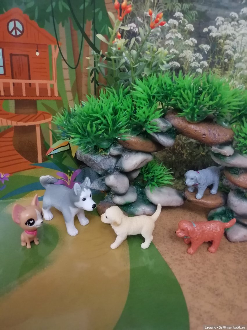 Лурения: прогулки питомцев