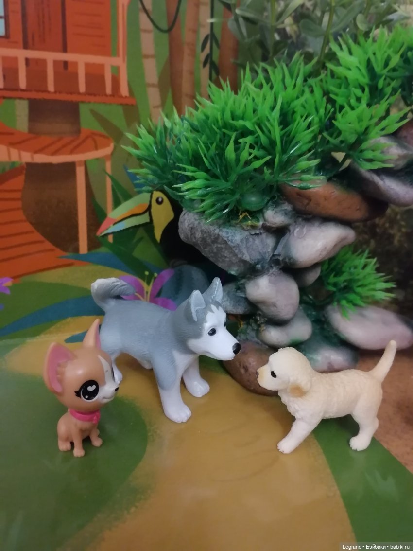 Лурения: прогулки питомцев (фото 5)