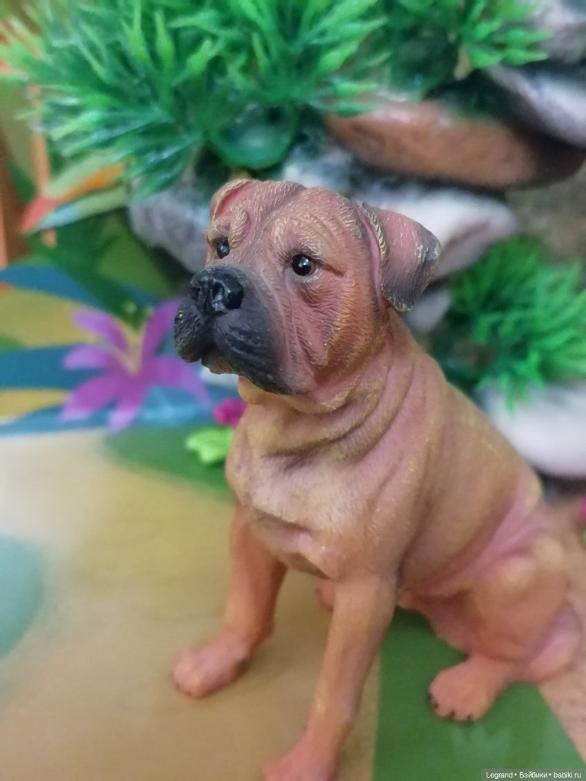 Лурения: прогулки питомцев