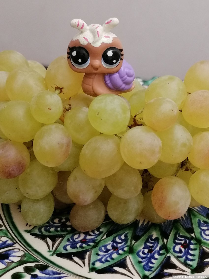 Лурения: прогулки питомцев