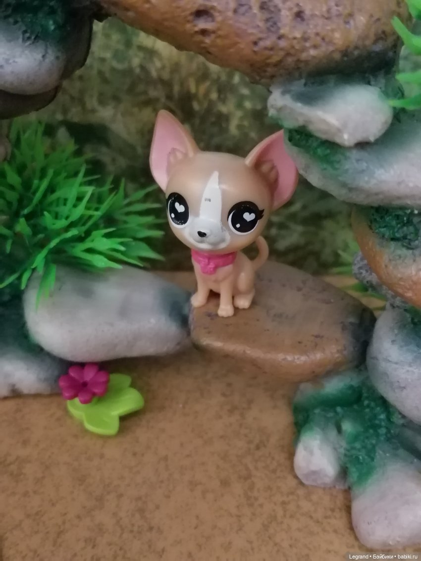 Лурения: прогулки питомцев