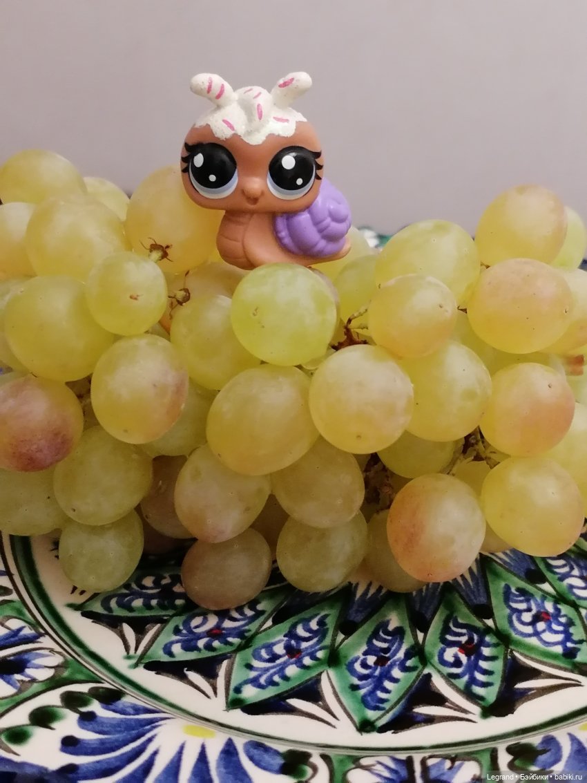 Лурения: прогулки питомцев