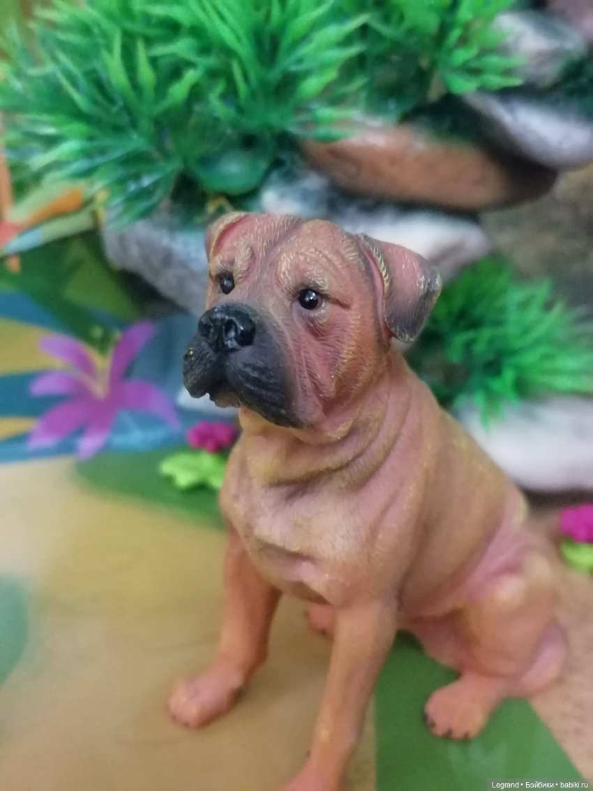 Лурения: прогулки питомцев