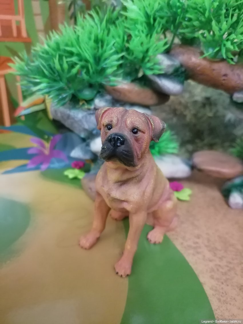 Лурения: прогулки питомцев