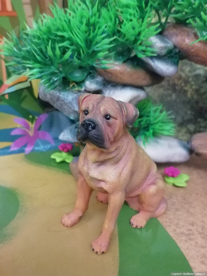 Лурения: прогулки питомцев