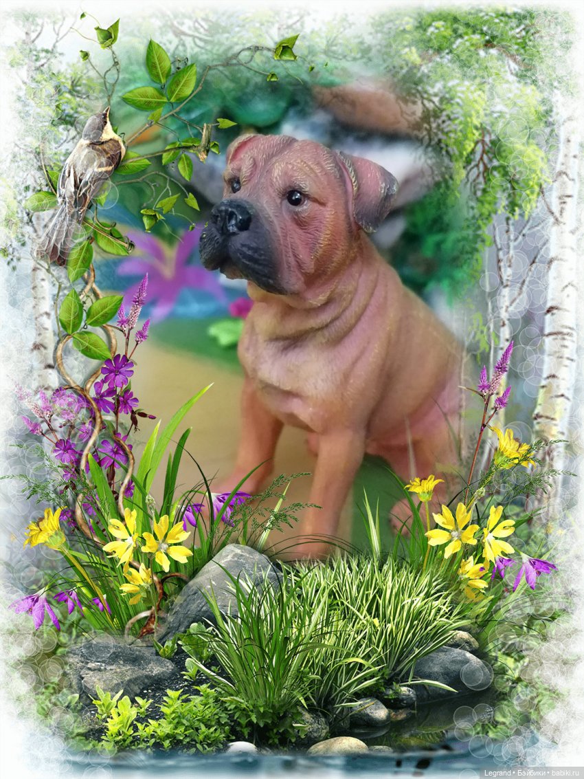 Лурения: прогулки питомцев