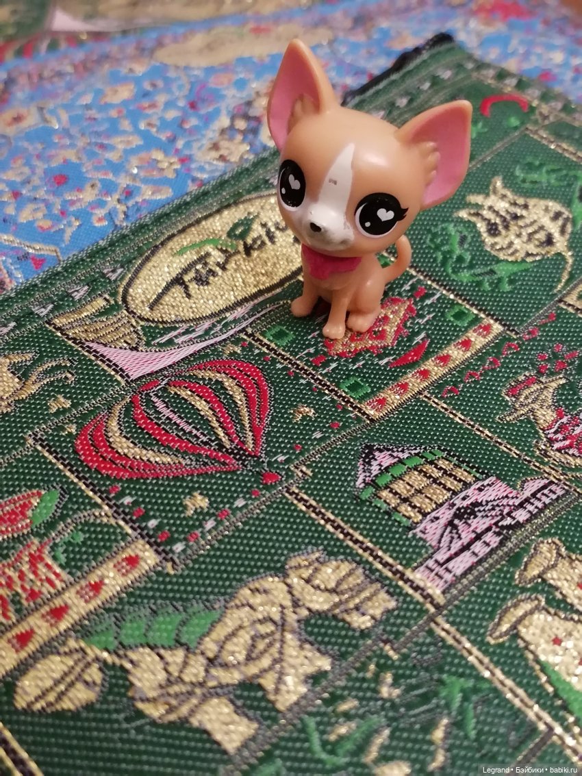 Лурения: прогулки питомцев