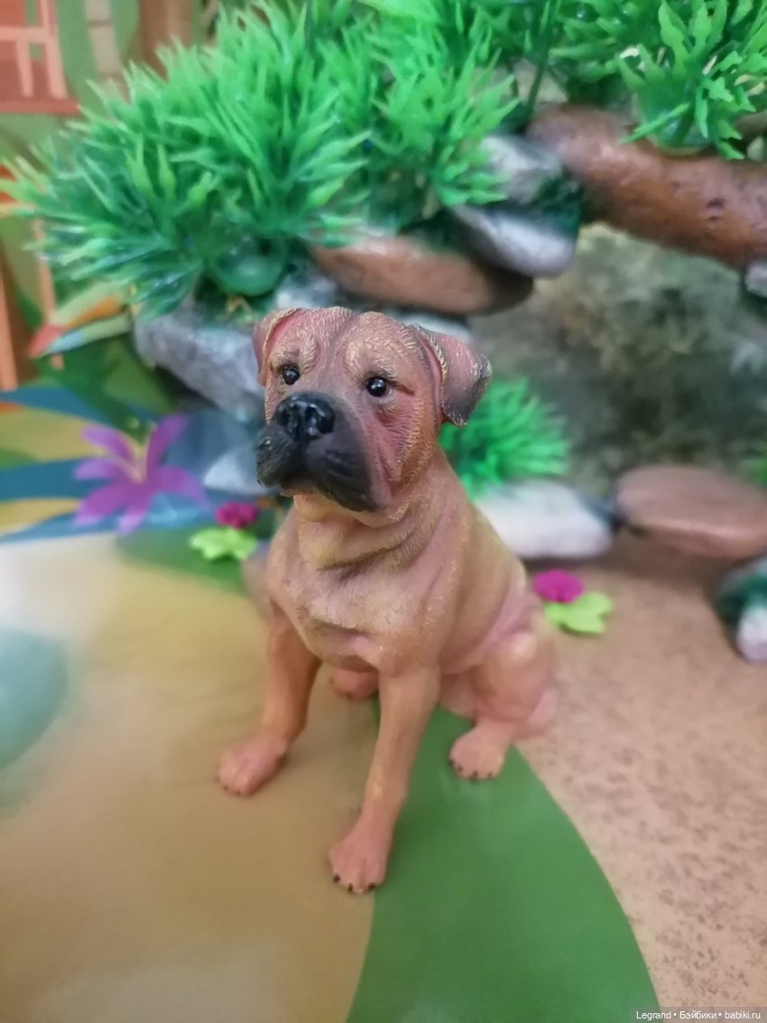 Лурения: прогулки питомцев